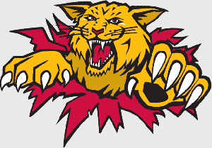 1996-97-pres-moncton-wildcats--primary-logo-heat-transfer.gif
